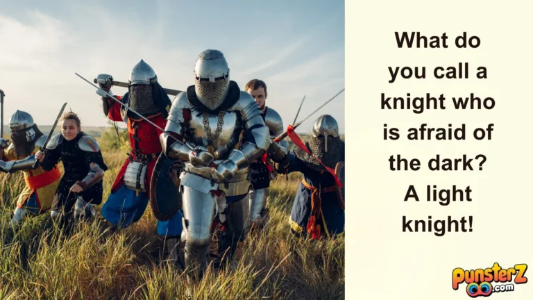 Funny Knight Puns