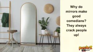 Funny Mirror Puns