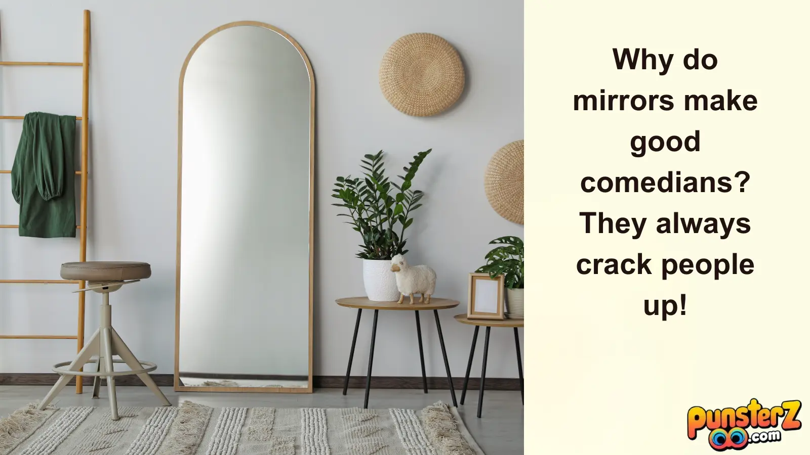 Funny Mirror Puns