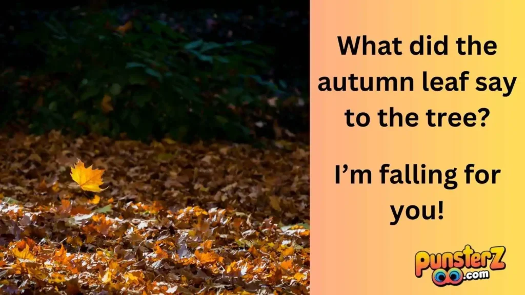 Autumn-tastic Jokes