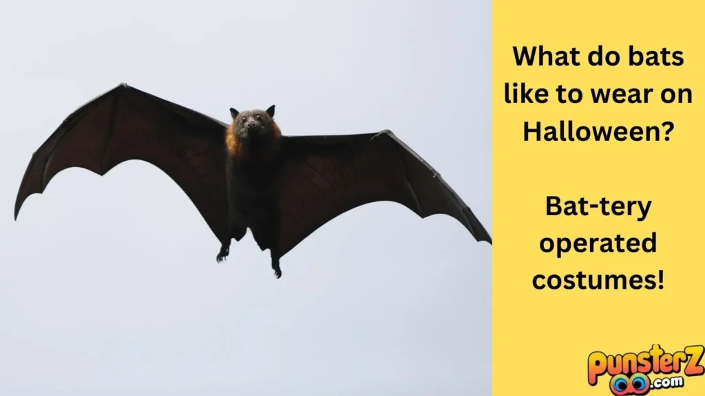  Batty for Bats