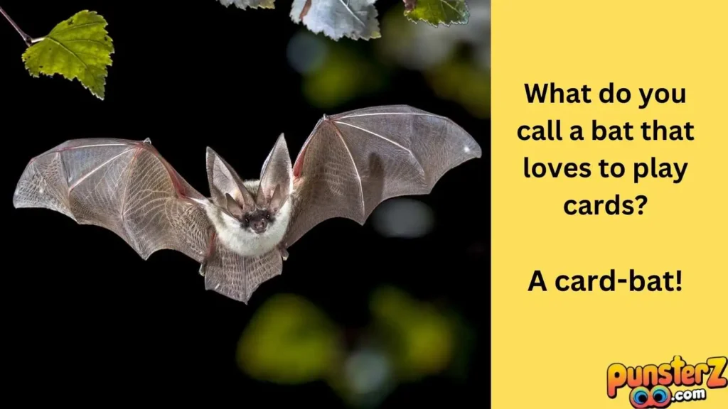 Batty Puns