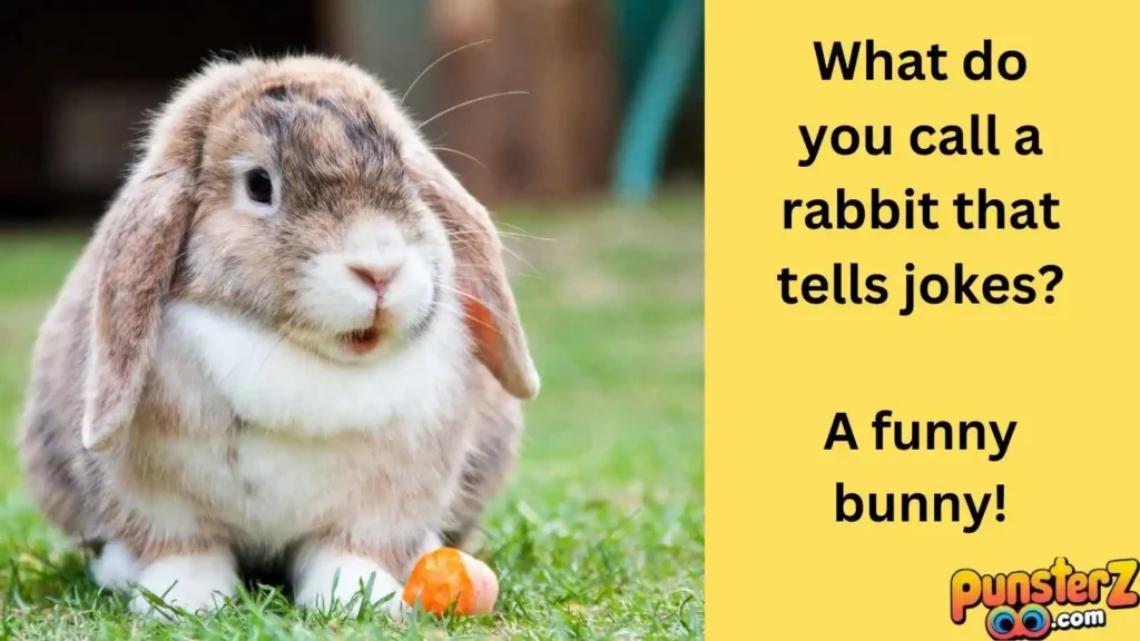 Bunny Business 