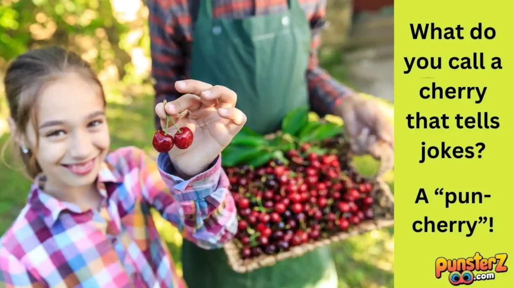 Cherry Cheers