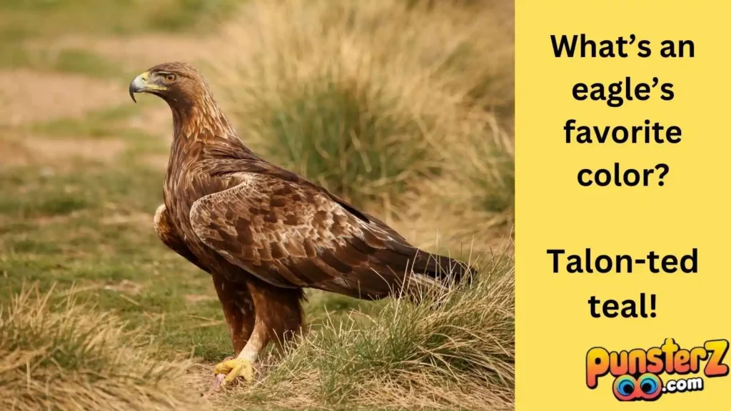 Eagle Fun Facts and Jokes