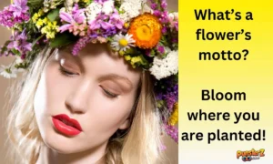 Flower Puns for Valentine’s Day