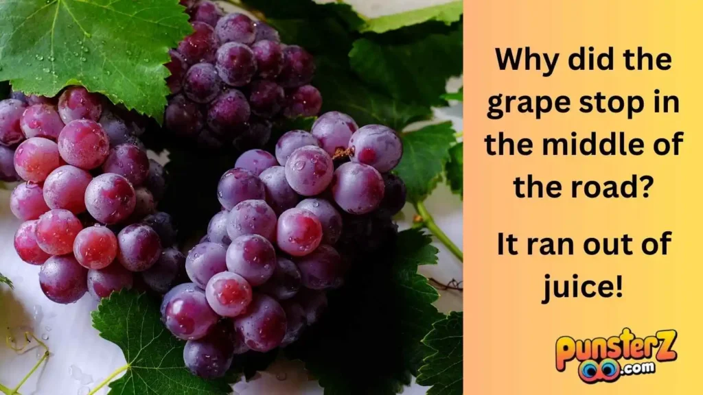  Grape Expectations