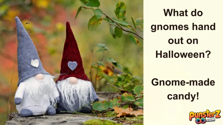 Halloween Gnome Puns