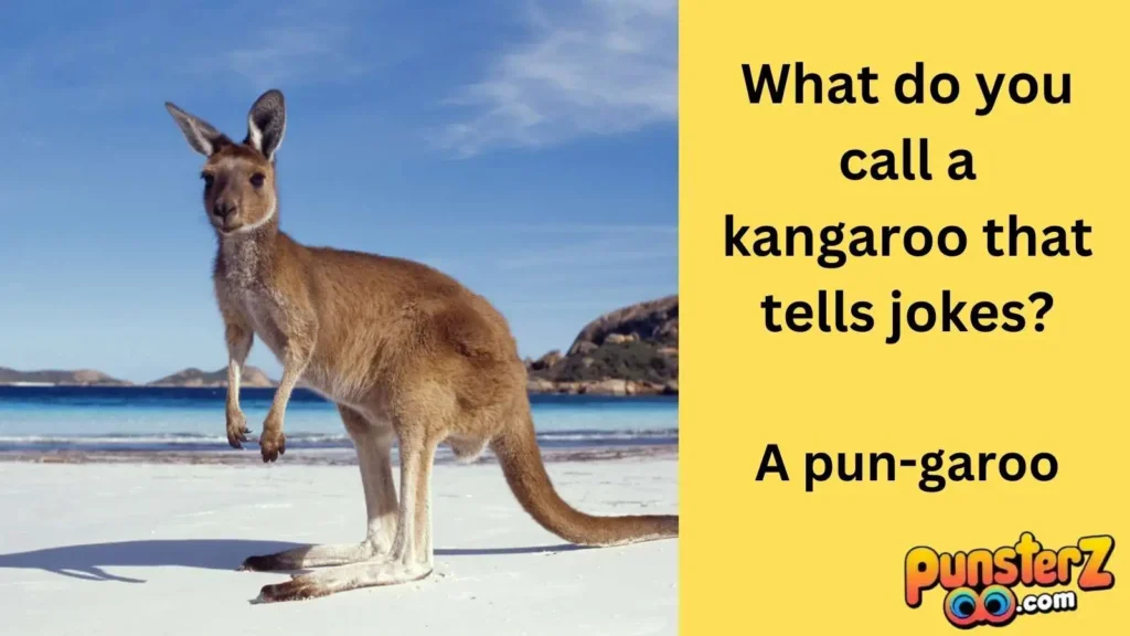 Kangaroo Jokes for Kids