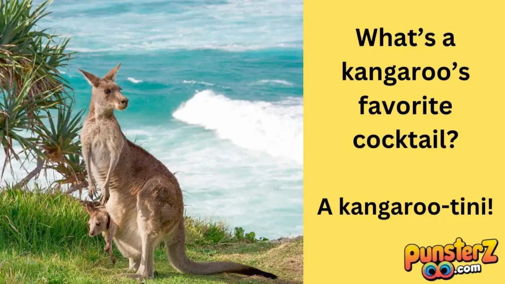 Kangaroo Puns for Adults 