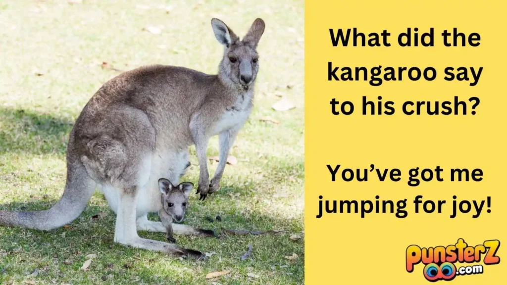  Kangaroo Wordplay