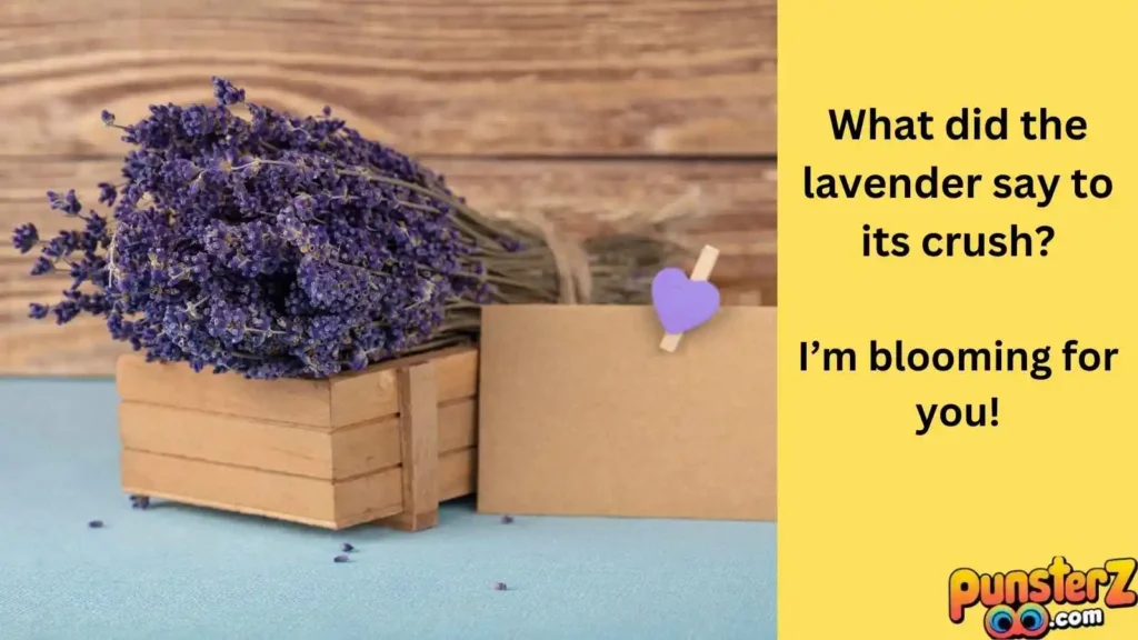 Lavender Love Notes 