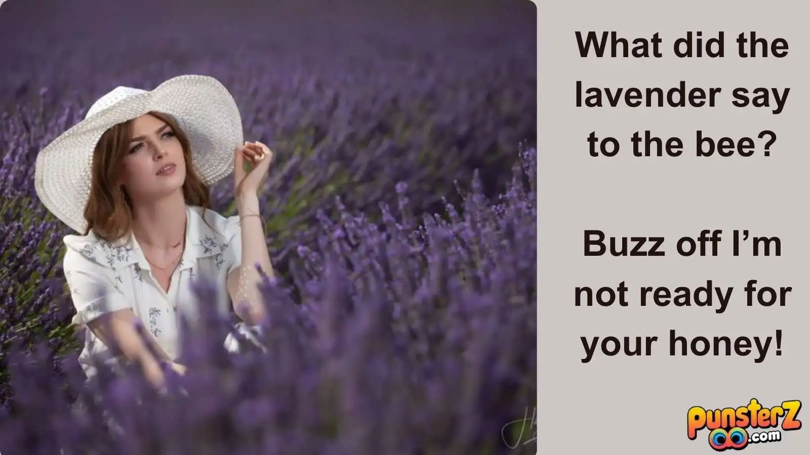 Lavender Punny Jokes