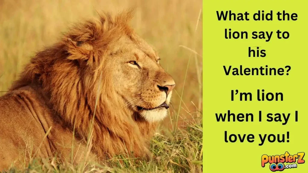 Lovable Lions