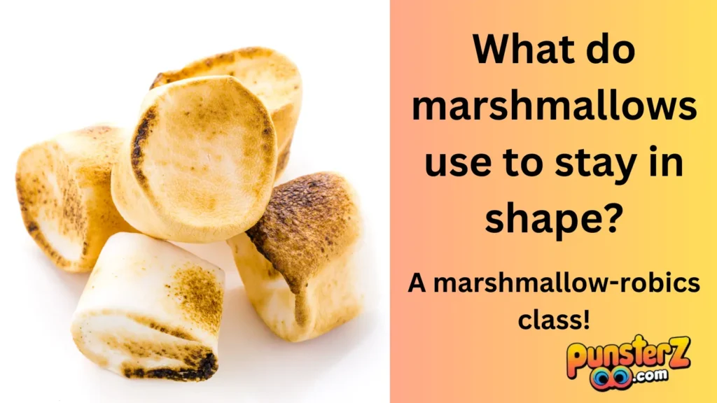 Marshmallow Humor for Everyone