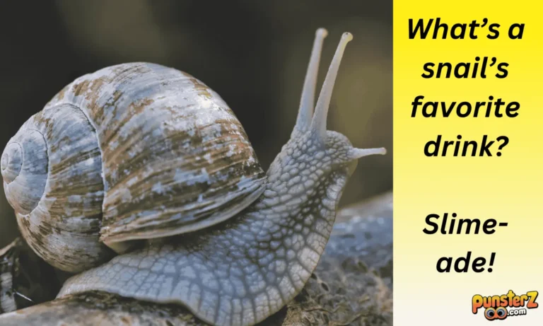 Snail Puns: A Shell of a Good Time!