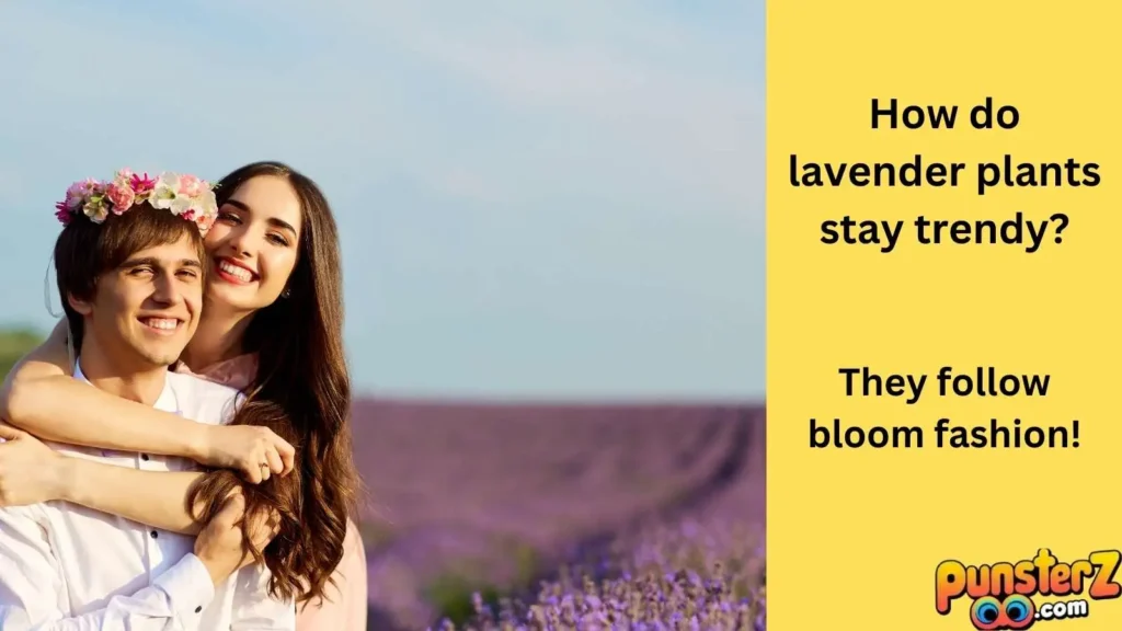 The Humor of Lavender