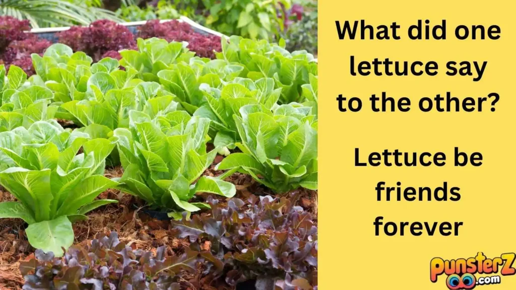 Lettuce Be Friends!