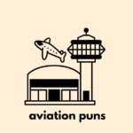 aviation puns