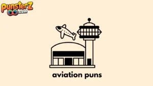 aviation puns