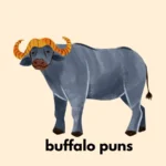 buffalo puns